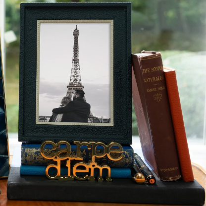 Navy Calfskin Leather Frame with Cream Seasnake Accent
